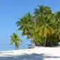 7 Day Dominican Republic Itinerary for First Time Visitors 85x85